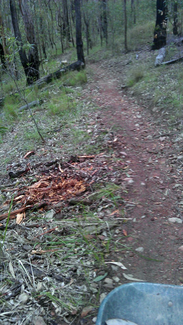 Lower Stump After
